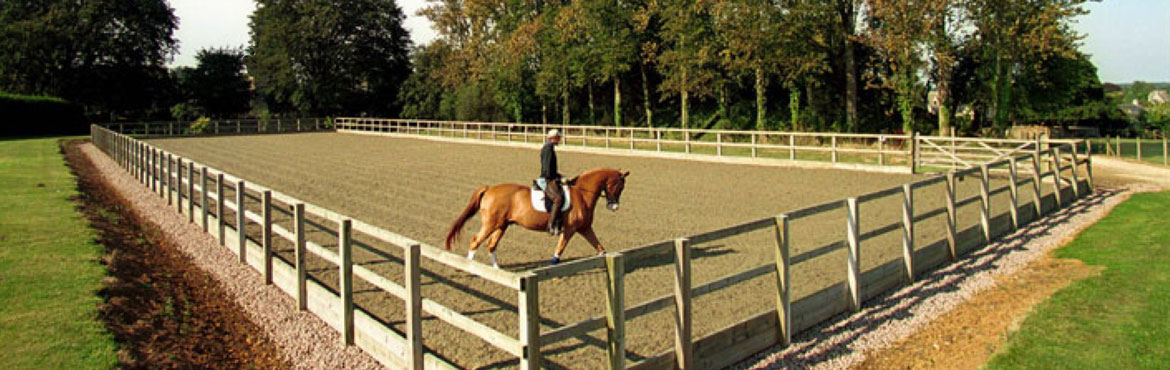 Graded Horse arena
